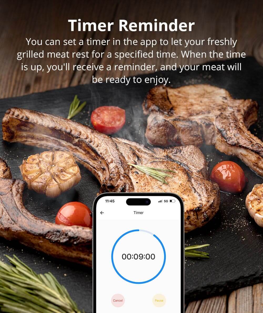 SONOFF BBQ Meat Thermometer | BMT01