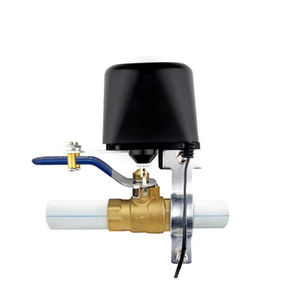 WiFi electronic control water Valve Ewelink