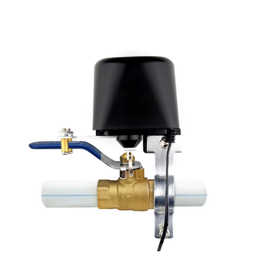 WiFi electronic control water Valve Ewelink